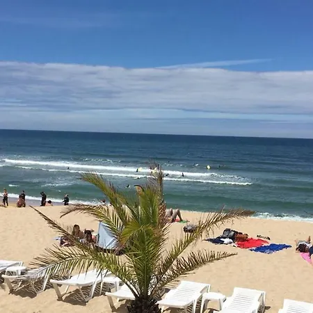 Blue Twenty Two - / Oporto Espinho