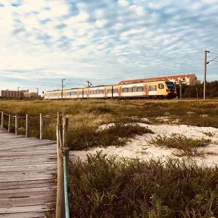 Blue Twenty Two - / Oporto