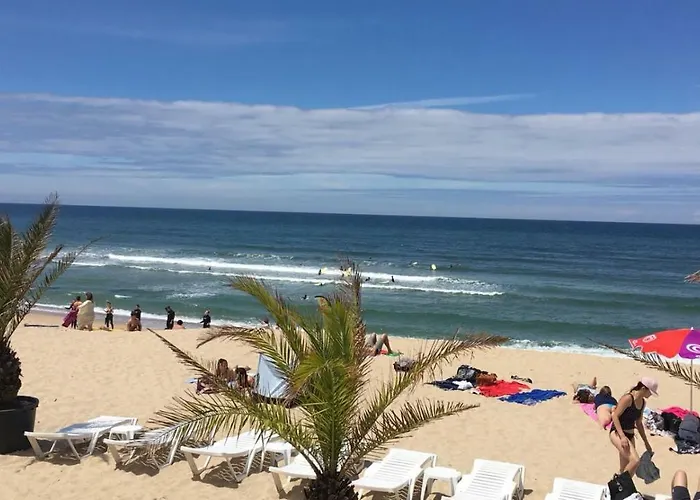 Blue Twenty Two - / Oporto Espinho (Aveiro)