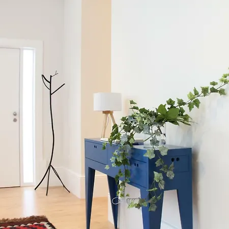 Blue Twenty Two - / Oporto