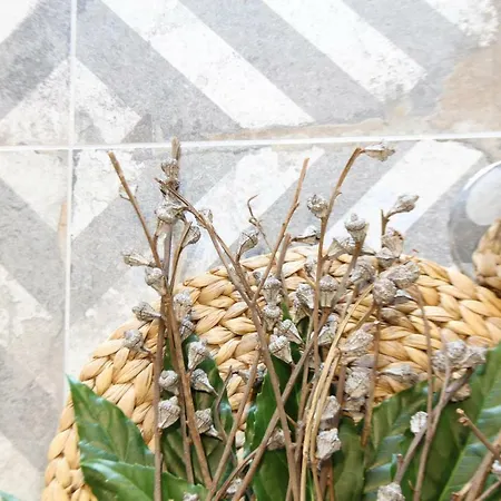 Blue Twenty Two - / Oporto