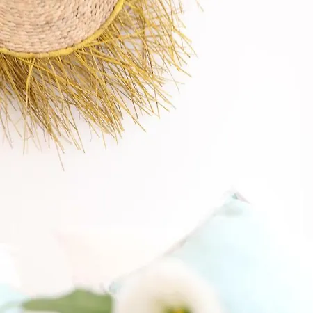 Blue Twenty Two - / Oporto *