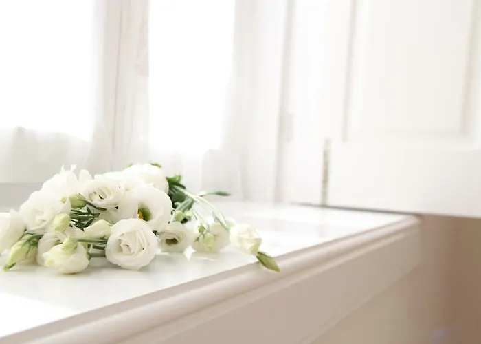 Blue Twenty Two - / Oporto *