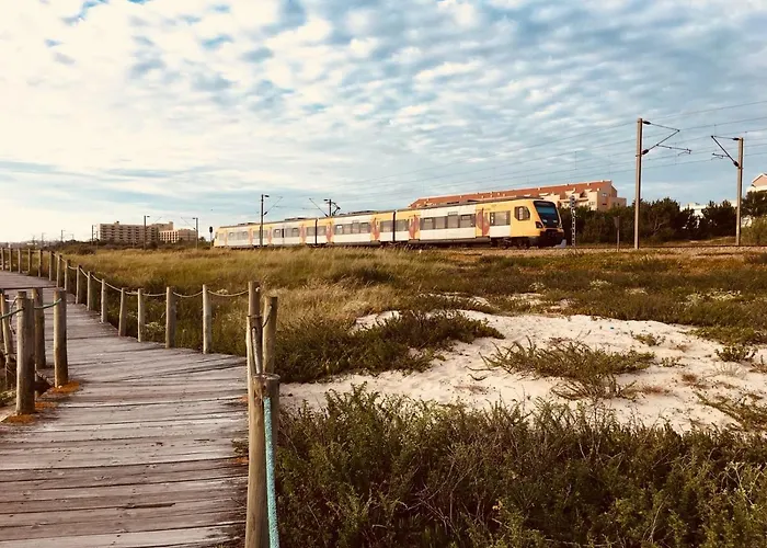 Blue Twenty Two - / Oporto